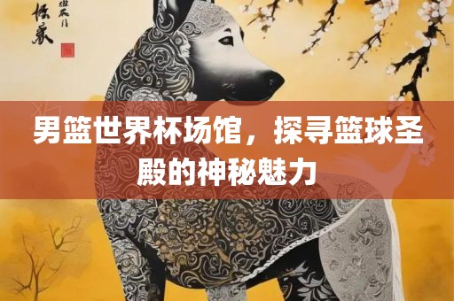 男篮世界杯场馆，探寻篮球圣殿的神秘魅力漯河市盈旭机械设备有限公司