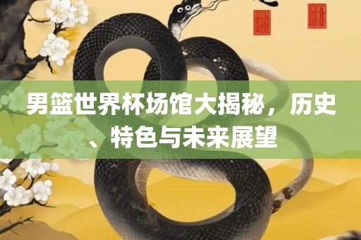 男篮世界杯场馆大揭秘，历史、特色与未来展望