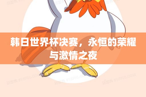 韩日世界杯决赛，永恒的荣耀与激情之夜