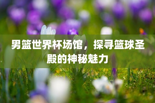 男篮世界杯场馆，探寻篮球圣殿的神秘魅力漯河市盈旭机械设备有限公司