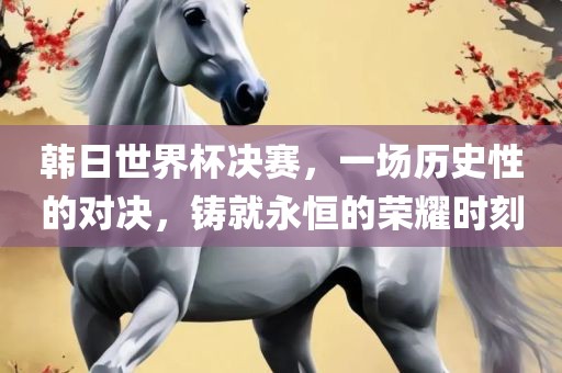 韩日世界杯决赛，一场历史性的对决，铸就永恒的荣耀时刻