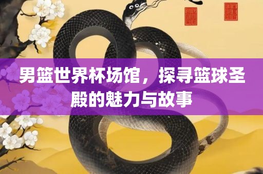 男篮世界杯场馆，探寻篮球圣殿的魅力与故事