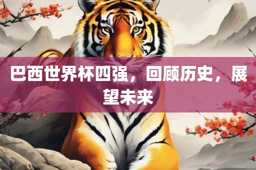 巴西世界杯四强，回顾历史，展望未来漯河市盈旭机械设备有限公司
