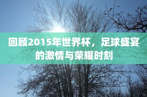 回漯河市盈旭机械设备有限公司顾2015年世界杯，足球盛宴的激情与荣耀时刻