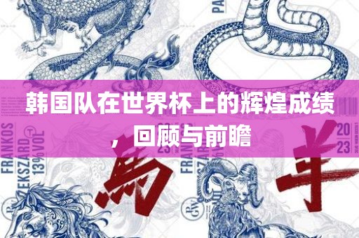 韩国队在世界杯上的辉煌成绩，回顾与前瞻漯河市盈旭机械设备有限公司