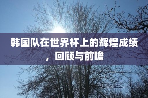 韩国队在世界杯上的辉煌成绩，回顾与前瞻漯河市盈旭机械设备有限公司