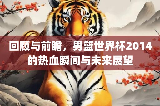 回顾与前瞻，男篮世界杯2014的热血瞬间与未来展望
