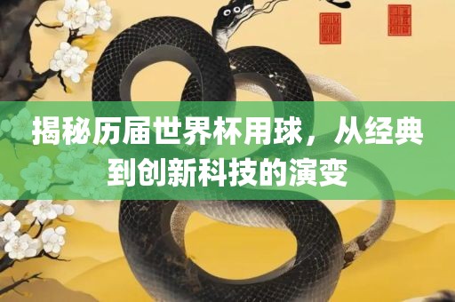 揭秘历届世界杯用球，从经典到创新科技的演变