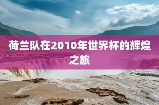 荷兰队在2010年世界杯的辉煌之旅