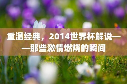 重温经典，2014世界杯解说——那些激情燃烧的瞬间