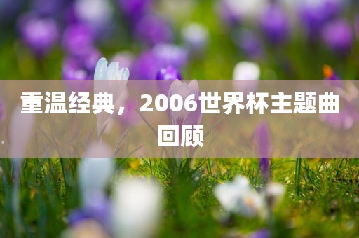 重温经典，2006世界杯主题曲回顾漯河市盈旭机械设备有限公司