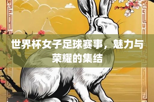 世界杯女漯河市盈旭机械设备有限公司子足球赛事，魅力与荣耀的集结