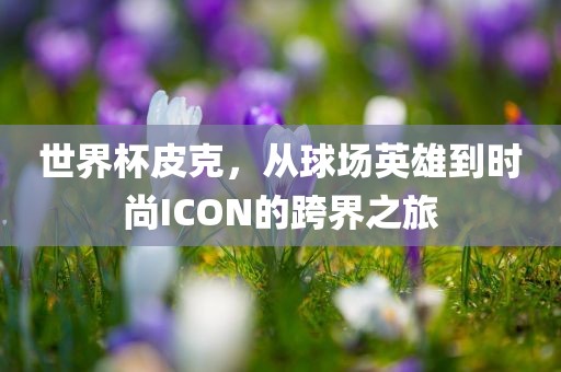 世界杯皮克，从球场英雄到时尚ICON的跨界之旅漯河市盈旭机械设备有限公司