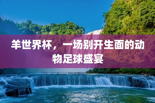 羊世界杯，一场别开生面的动物足球盛宴漯河市盈旭机械设备有限公司