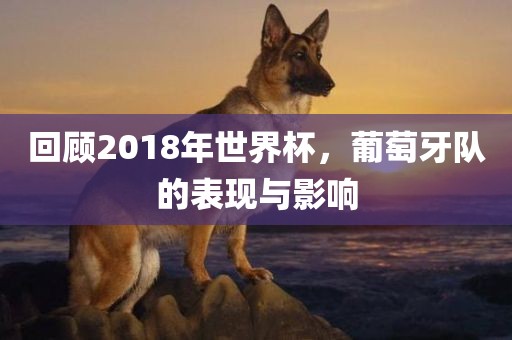 回顾2018年世界杯，葡萄牙队的表现与影响