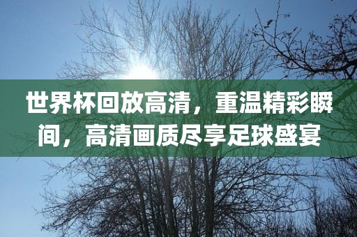 chenyuanwei 第8页