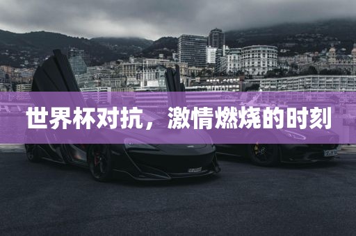 世界杯对抗，激情燃烧的时刻漯河市盈旭机械设备有限公司