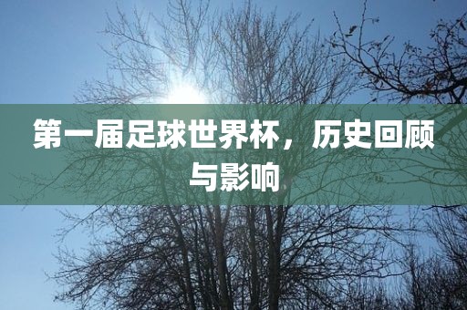 第一届足球世界杯，历史回顾与影响