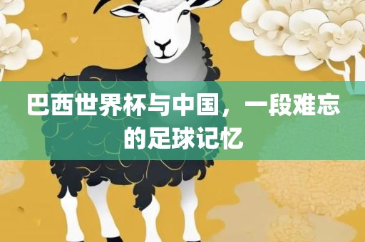 巴西世界杯与中国，一段难忘的足球记忆漯河市盈旭机械设备有限公司