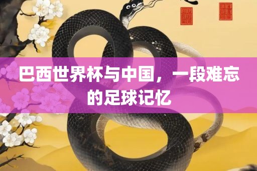 巴西漯河市盈旭机械设备有限公司世界杯与中国，一段难忘的足球记忆