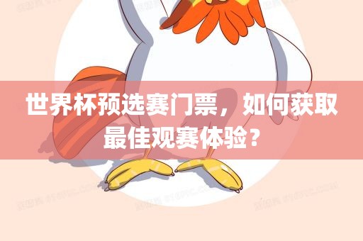 世界杯预选赛门票，如何获取最佳观赛体验？