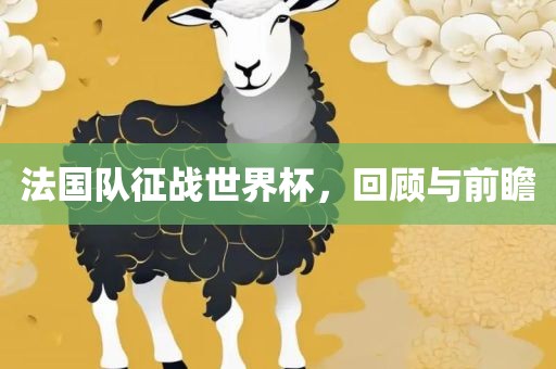 法国队征战世界杯，回顾与前瞻