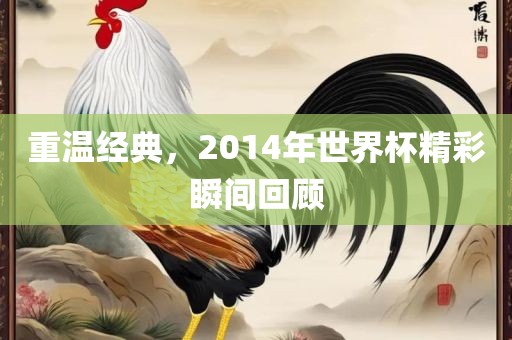 重温经典，2014年世界杯精彩瞬间回顾漯河市盈旭机械设备有限公司