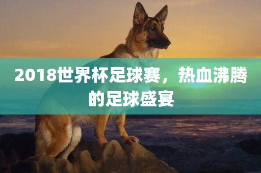 2018世界杯足球赛，热血沸腾的足球盛宴漯河市盈旭机械设备有限公司