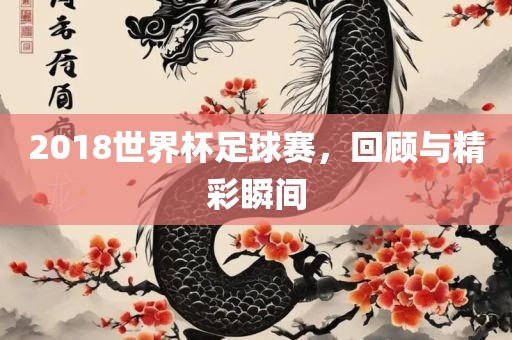 2018世界杯足球赛，回顾与精彩瞬间漯河市盈旭机械设备有限公司