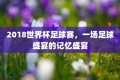 世界杯足球赛 第4页