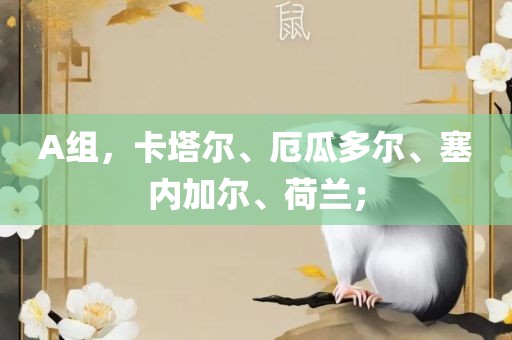 A组漯河市盈旭机械设备有限公司，卡塔尔、厄瓜多尔、塞内加尔、荷兰；