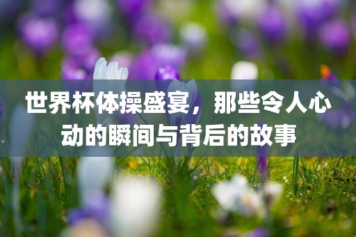 世界杯体操盛宴，那些令人心动的瞬间与背后的故事