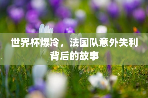 世界杯爆冷，法国队意外失利背后的故事