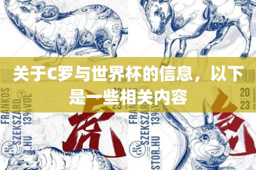 关于漯河市盈旭机械设备有限公司C罗与世界杯的信息，以下是一些相关内容