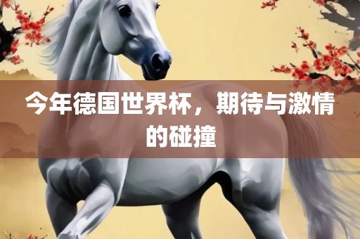 今年德国世界杯，期待与激情的碰撞