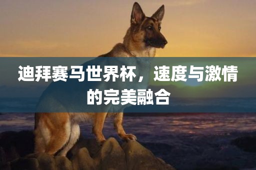 迪拜赛马世界杯，速度与激情的完美融合