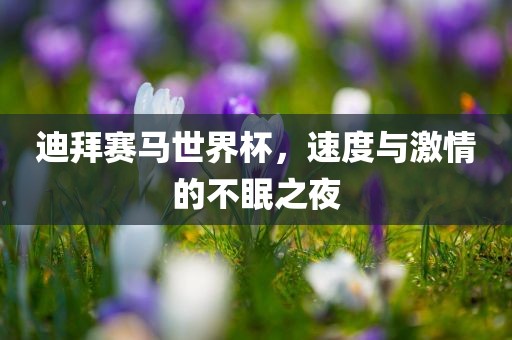迪拜赛马世界杯，速度与激情的不眠之夜