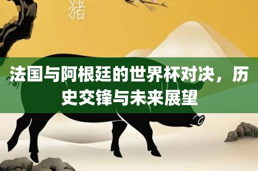 法国与阿根廷的世界杯对决，历史交锋与未来漯河市盈旭机械设备有限公司展望