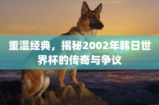 重温经典，揭秘2002年韩日世界杯的传奇与争议