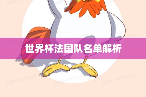 世界杯法国队名单解析漯河市盈旭机械设备有限公司