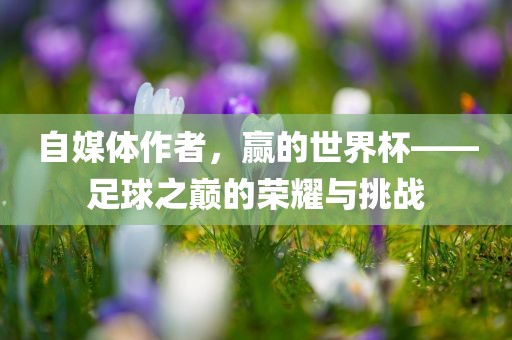自媒体作者，赢的世界杯——足球之巅的荣耀与挑战