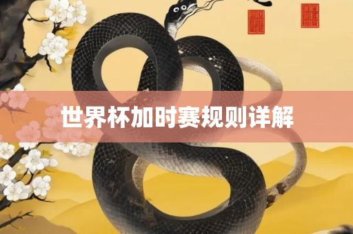 世界杯加时赛规则详解漯河市盈旭机械设备有限公司