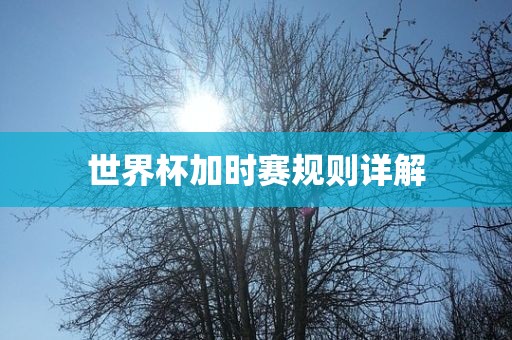 世界杯加时赛规则详解漯河市盈旭机械设备有限公司