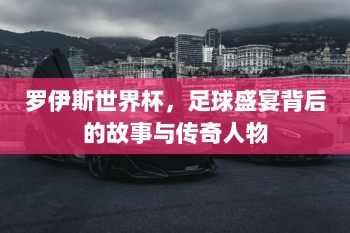罗伊斯世界杯，足球盛宴背后的故事与传奇人物漯河市盈旭机械设备有限公司