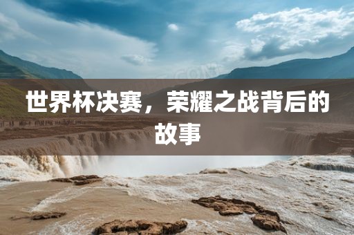 世界杯决赛 第6页