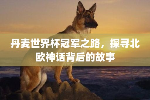丹麦世界杯冠军之路，探寻北欧神话背后的故事漯河市盈旭机械设备有限公司