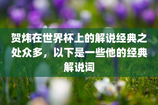 贺炜在世界杯上的解说经典之处众多，以下是一些他的经典解说词漯河市盈旭机械设备有限公司