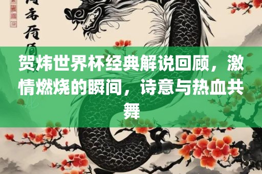贺炜世界杯经典解说回顾，激情燃烧的瞬间，诗意与热血共舞