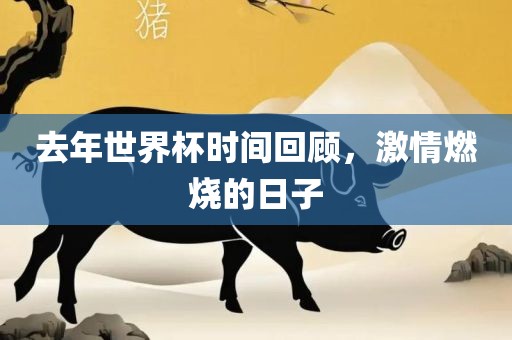 去年世界杯时间回顾，激情燃烧的日子