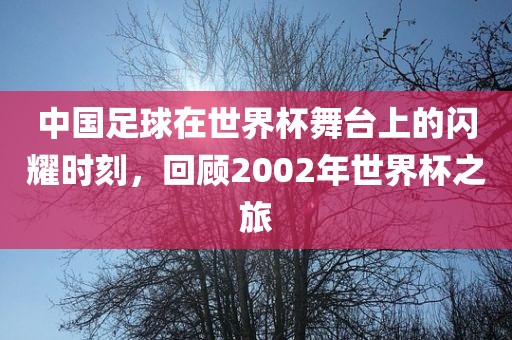 中国足球在世界杯舞台上的闪耀时刻，回顾2002年世界杯之旅